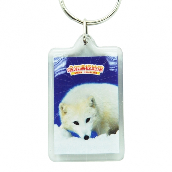 Acrylic photo snap-in key chain