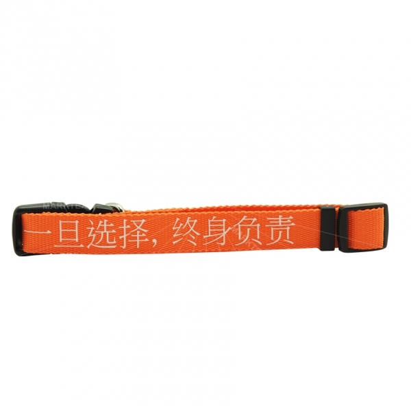 Polyester pet collars