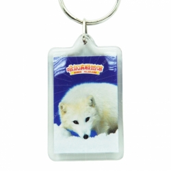 Acrylic photo snap-in key chain