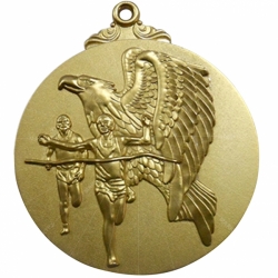 Award metal triathlon medal