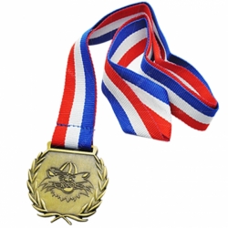 Novel design sport medal