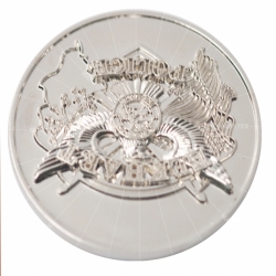 silver 925 plated coin
