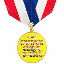 ネックリボン付きのメダル